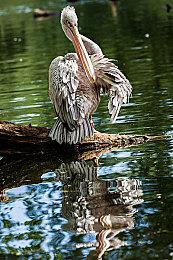 《星之海洋6 神圣力量》新预告 10月27日发售